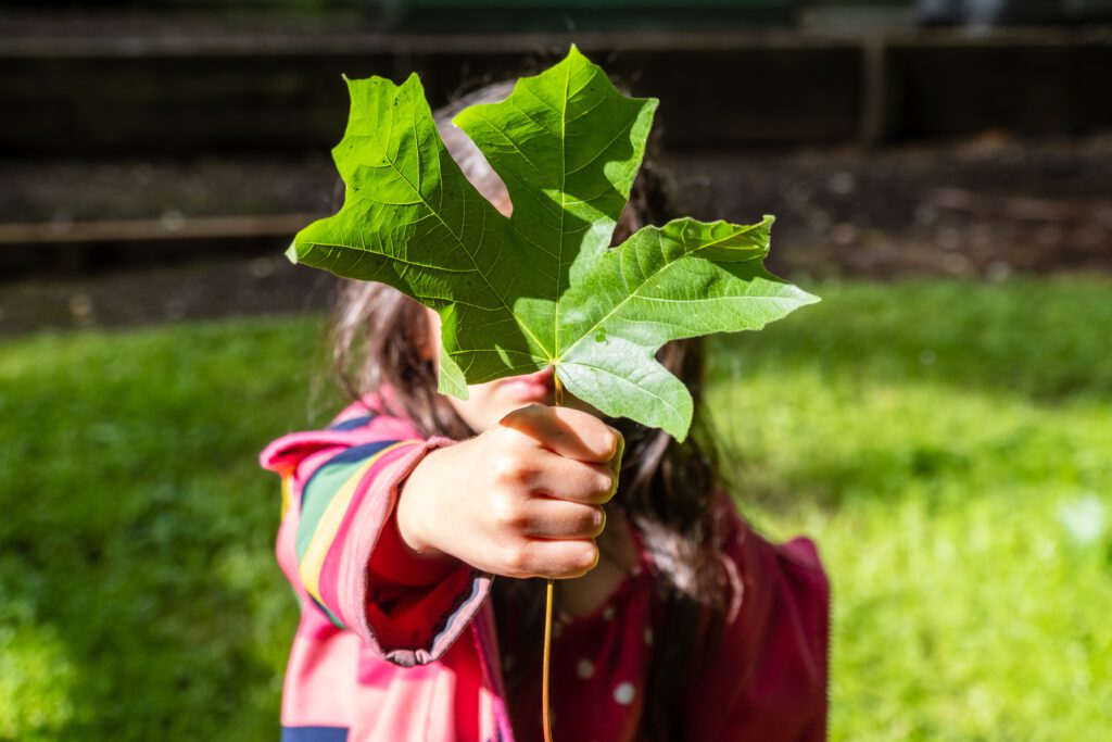 Experimento en clases de refuerzo escolar para Sciencie