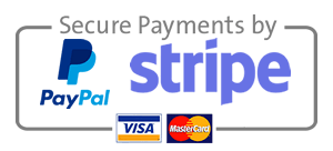 PayPal-stripe-web